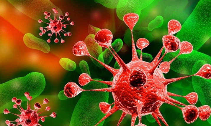 Взаимосвязь вирусов и бактерий