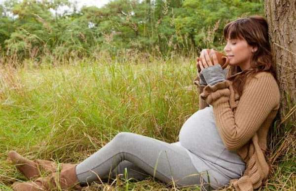 Самые лучшие успокоительные средства для беременных это самоконтроль, медитация, прогулки, организация режима питания и дня.