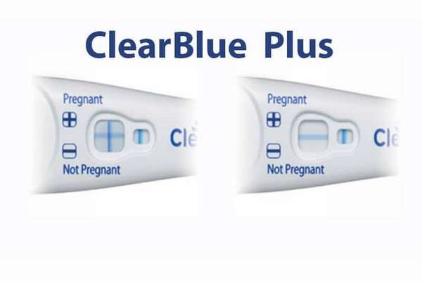 clearblue digital тест на беременность