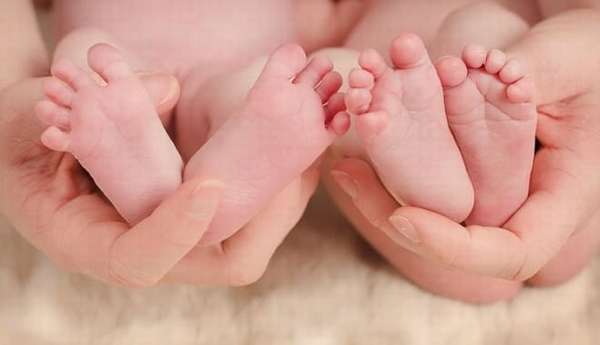 Рождение двойни при стимуляции овуляции методами народной медицины