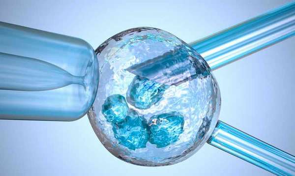 как ведет себя эмбрион после переноса