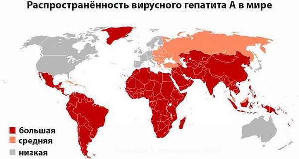 распространенность вирусного гепатита А в мире