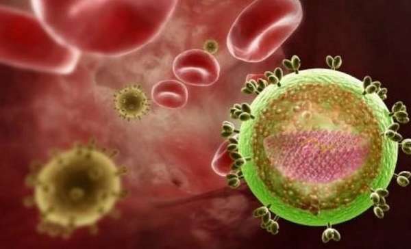 Сдача анализа крови на сифилис и ВИЧ при хроническом оофорите