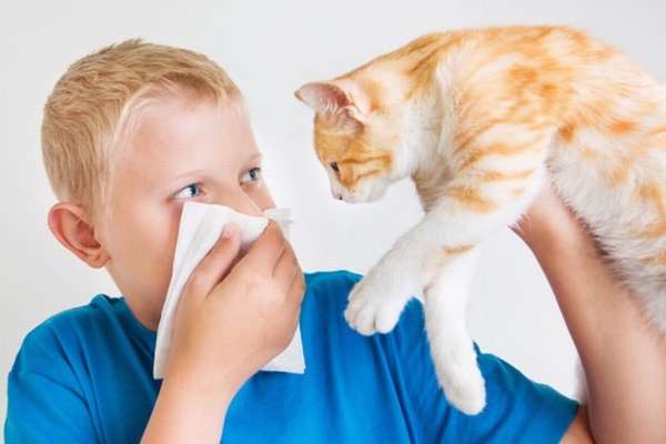 сухой кашель у ребенка без температуры причины