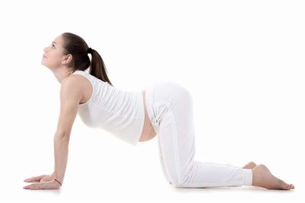Узнайте, какие физические упражнения делать и разрешен ли секс на 13 неделе беременности.