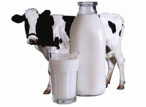Молоко может вызвать гиперфункцию яичников 