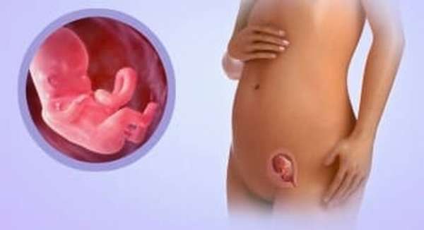 Чувство жжения в яичниках при внематочной беременности