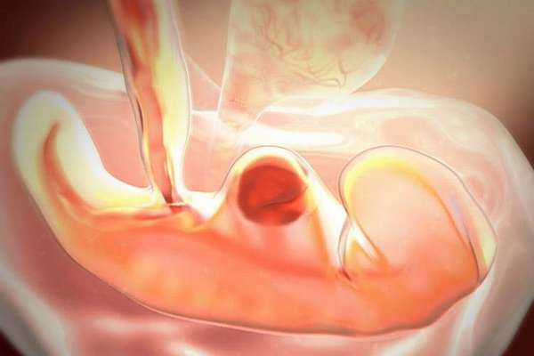 Узнайте, что происходит с эмбрионом на 5 акушерской неделе беременности.