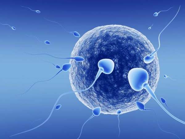 Активность сперматозоидов при гиперстимуляции