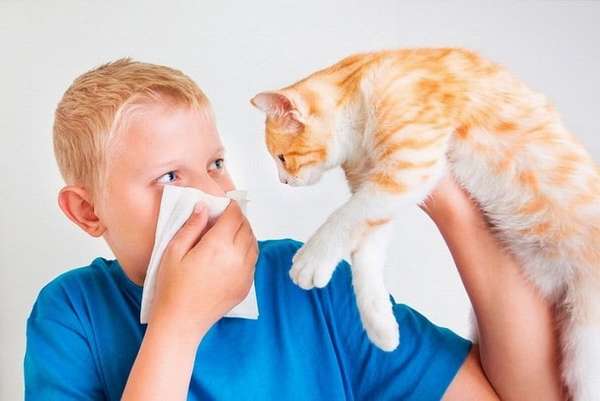 Есть несколько способов, как распознать аллергический кашель у ребенка.