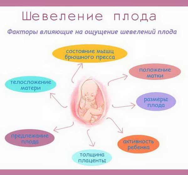 33 неделя беременности что происходит с малышом и мамой