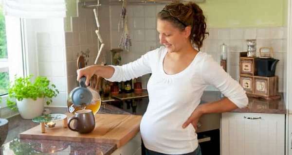 Полезен ли шиповник при беременности на ранних сроках