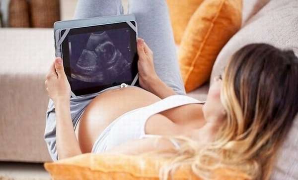 Что видно на УЗИ яичников при беременности