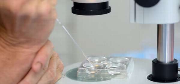 Готовые результаты исследования биопсии яичников